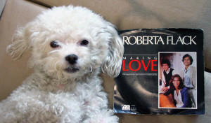 Ringo + Roberta